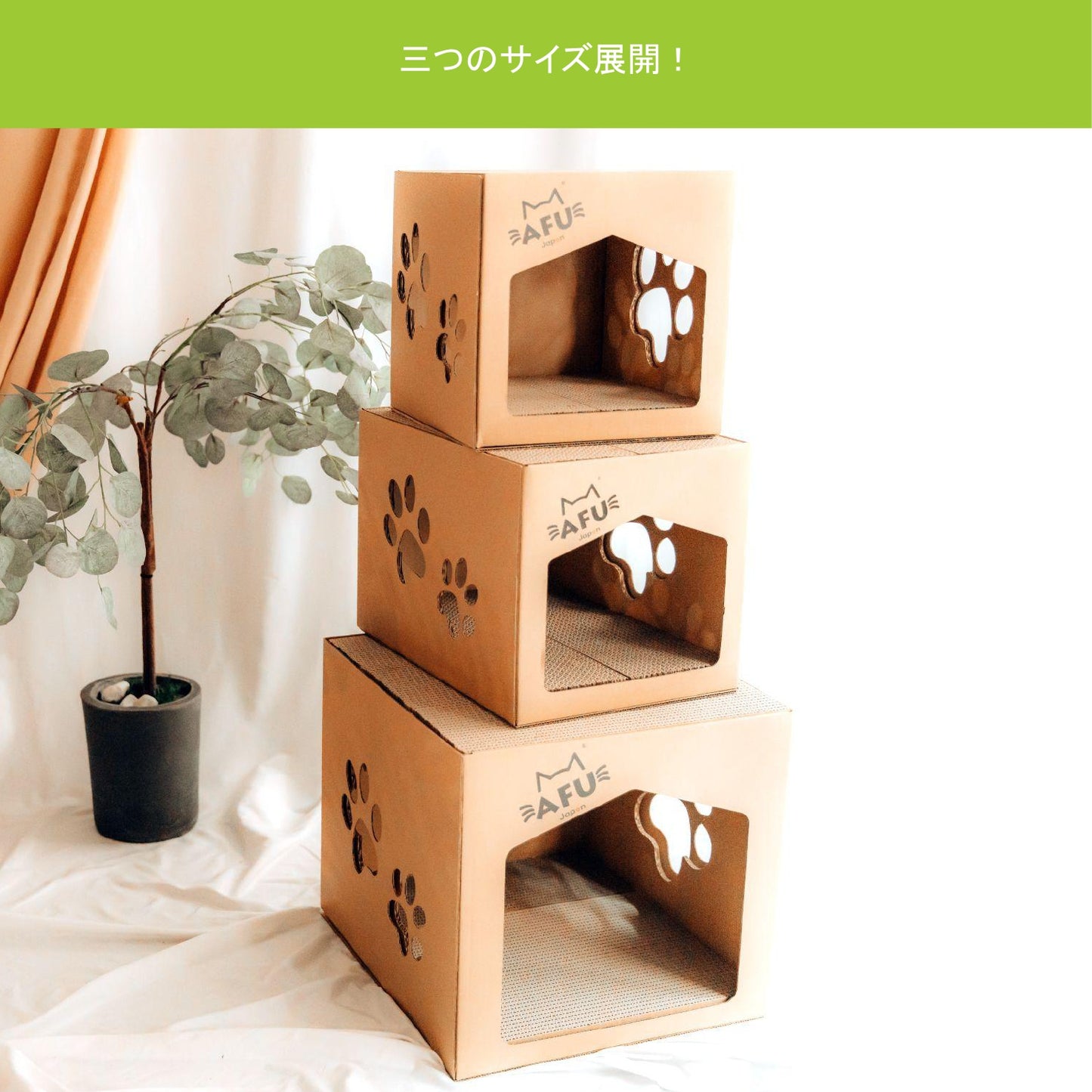 AFU JAPAN ビッグキャットハウス