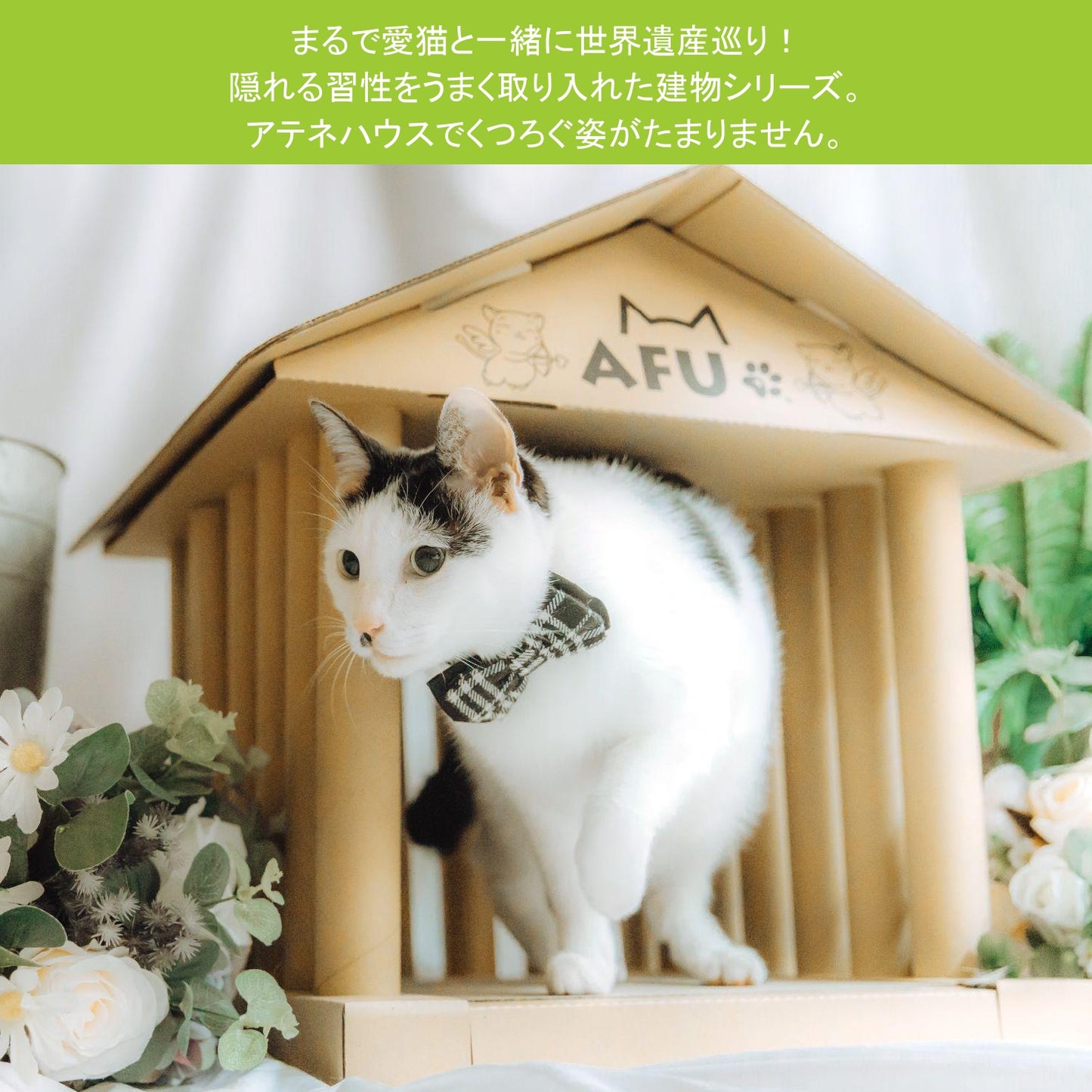 AFU JAPAN アテネハウス