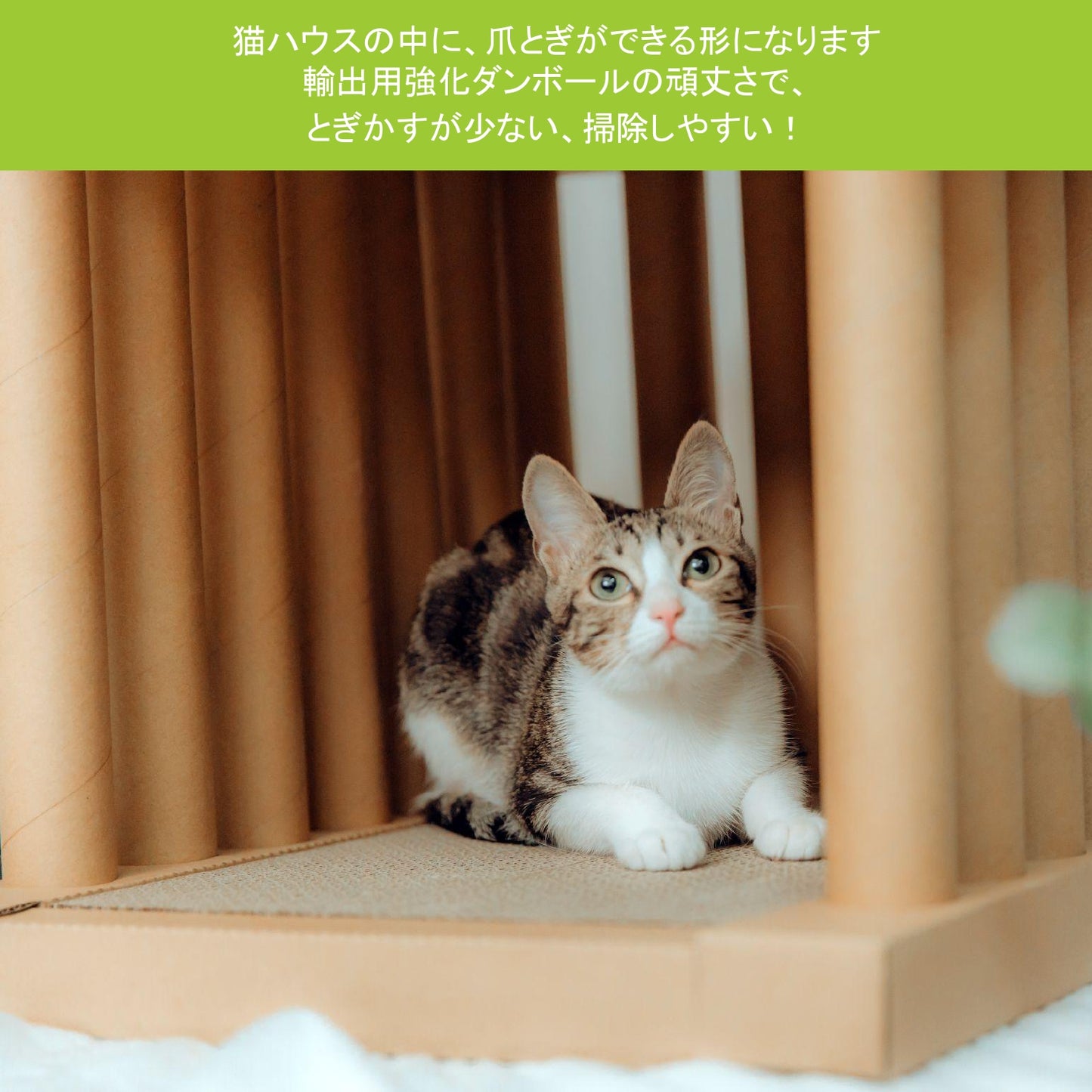 AFU JAPAN アテネハウス