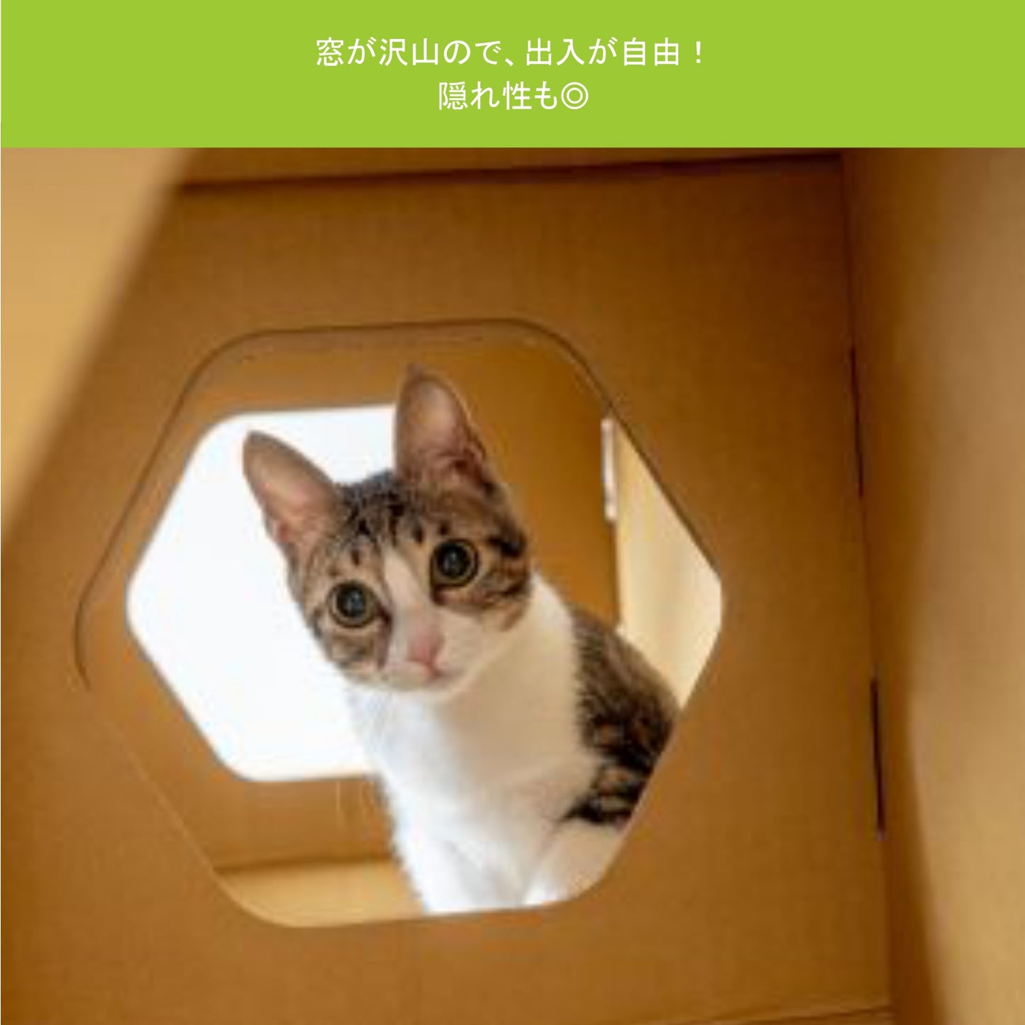 AFU JAPAN ハニカムハウス(3 個入り)