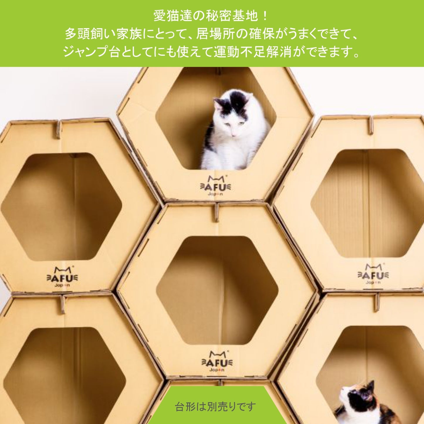 AFU JAPAN ハニカムハウス(6 個入り)