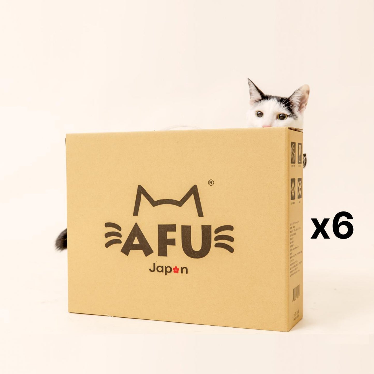 AFU JAPAN ハニカムハウス(6 個入り)