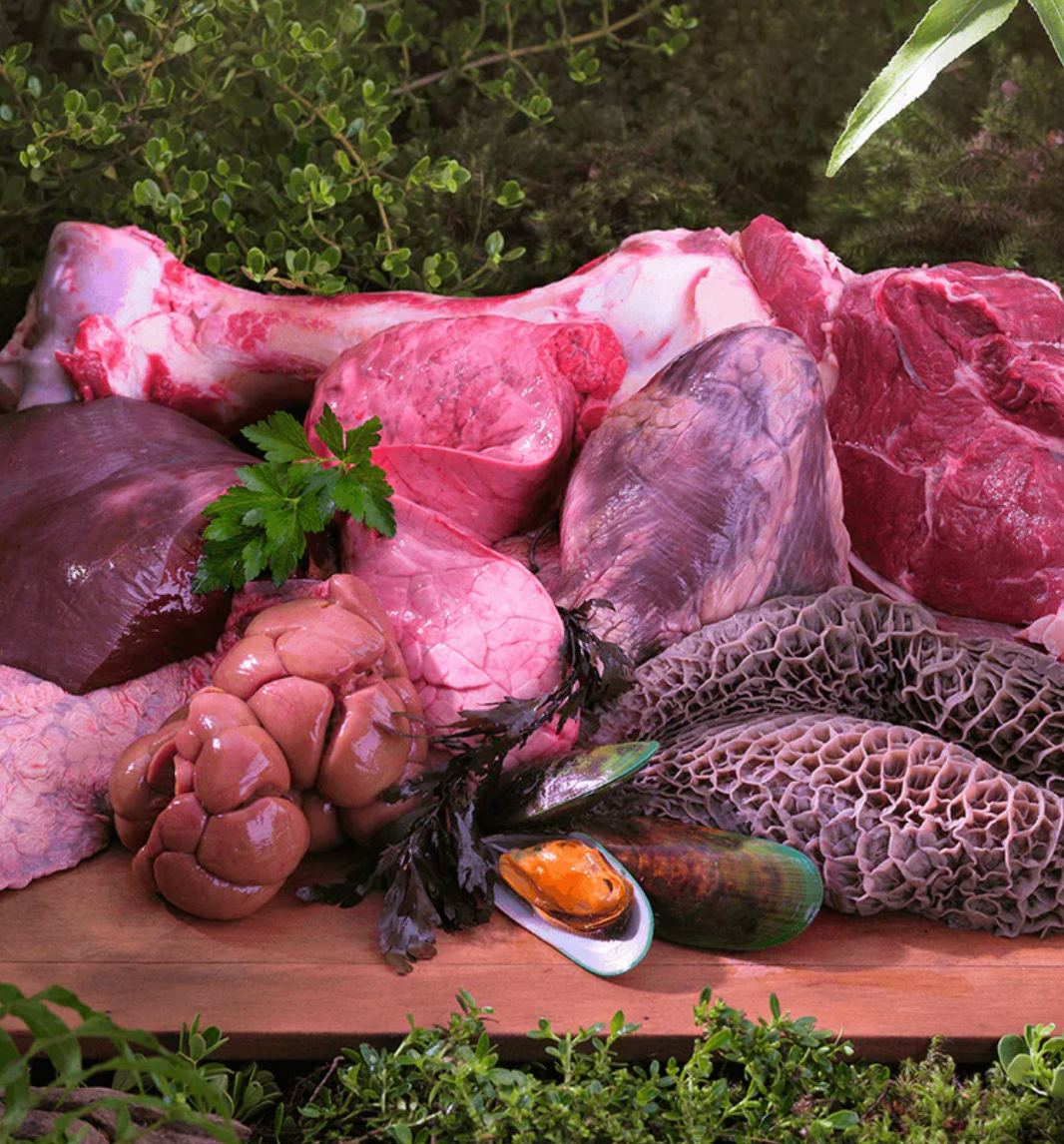 ZIWI ウェットドッグフード ビーフ 170g