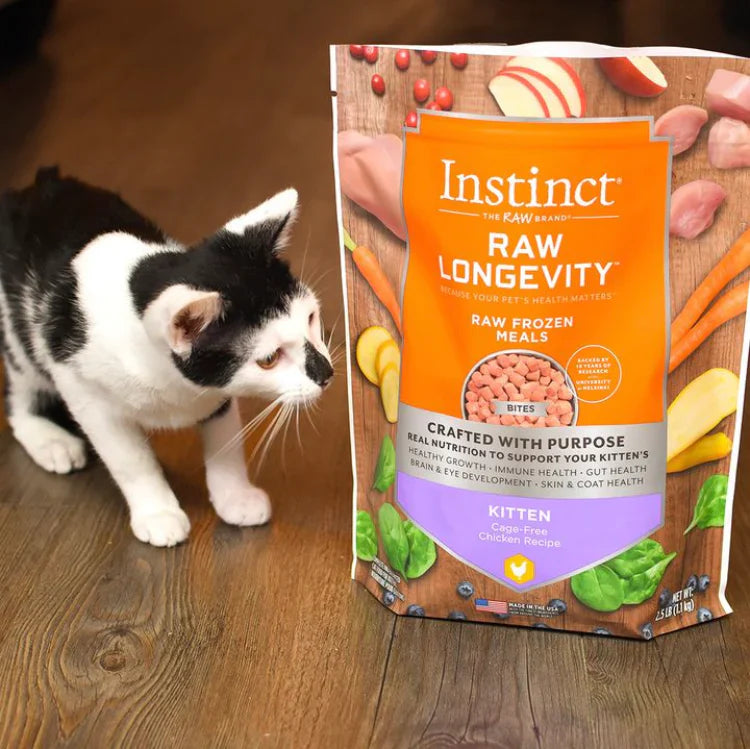 Raw Longevity 子猫用(チキン) 269g