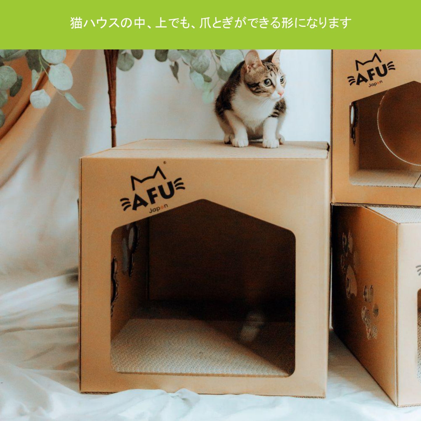 AFU JAPAN キャットパレス