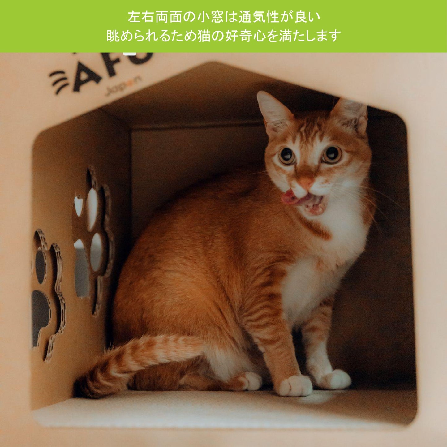 AFU JAPAN キャットパレス