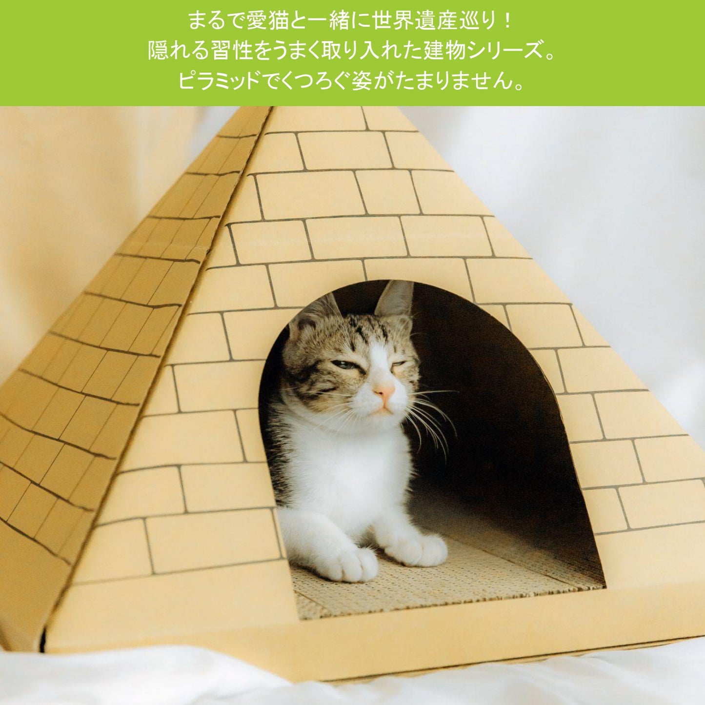 AFU JAPAN ゴールデンハウス
