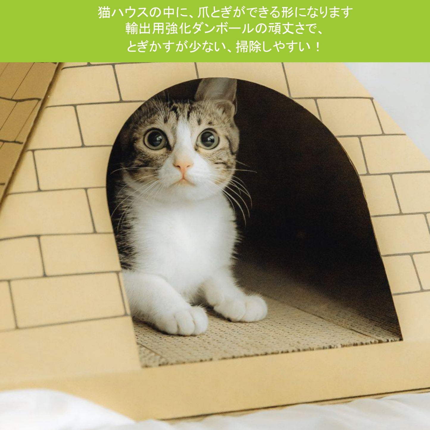 AFU JAPAN ゴールデンハウス