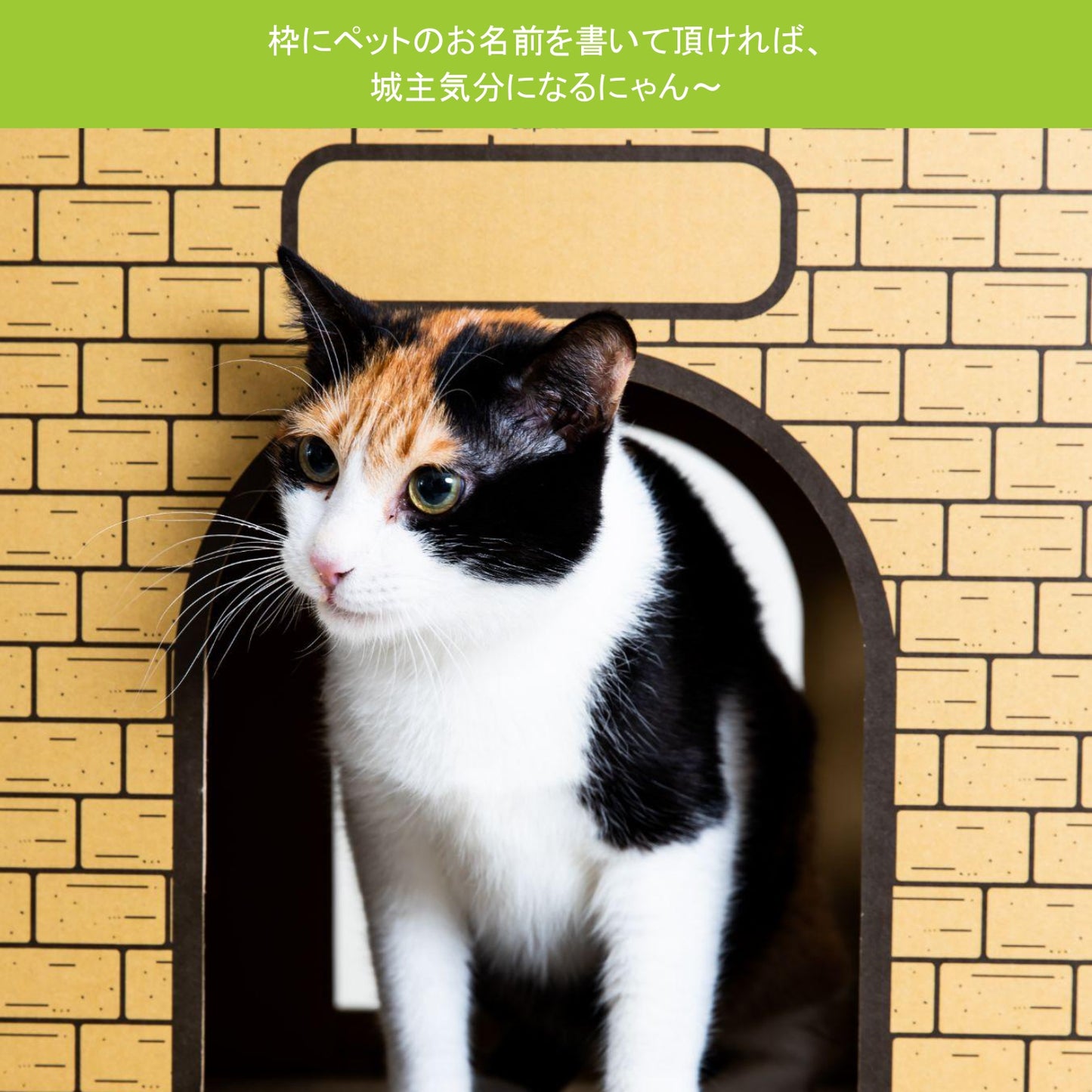 AFU JAPAN キャットキャッスル