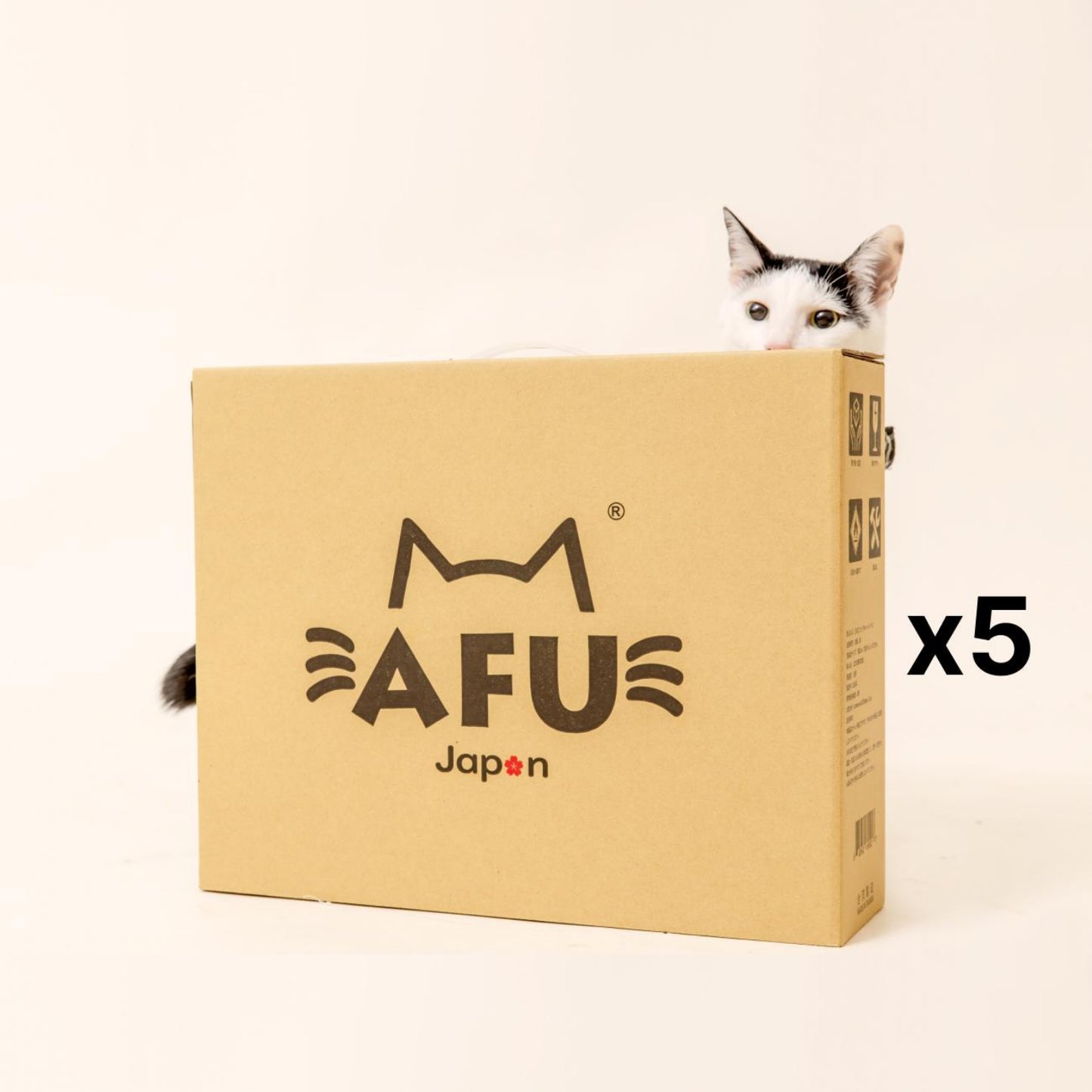 AFU JAPAN ハニカムハウス（5 個入り）