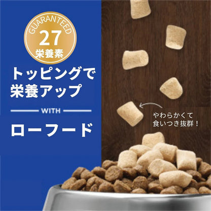 シニア犬用 マルチビタミン フリーズドライローフード ビーフ 21g