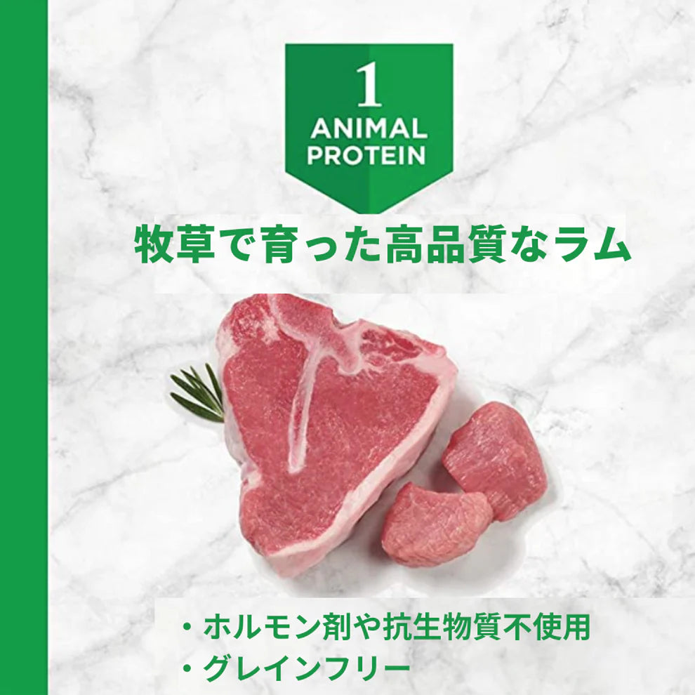 アレルギー対応 グレインフリードッグフード ラム 1.8kg